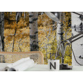 Colorful Aspenwoods - Thumbnail View 1