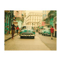 Viva el Sol - Thumbnail View 1