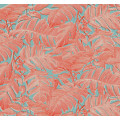 Coralla - Thumbnail View 1