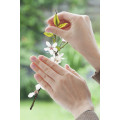Cheerful - Thumbnail View 1
