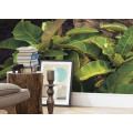 Garten der Versuchung - Thumbnail View 1
