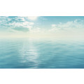 La Mer Bleue - Thumbnail View 1