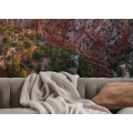 Imperial View - Thumbnail View 1