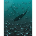 Ginkgo - Thumbnail View 1