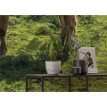 Kuhparadies - Thumbnail View 1