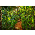 Jungle Trail - Thumbnail View 1
