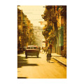 Viva el Sol - Thumbnail View 1