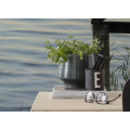 Pastell - Thumbnail View 1