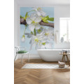 Blossom - Thumbnail View 1