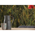 Poppy World I - Thumbnail View 1