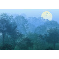 Deep in the Jungle - Thumbnail View 1