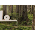 Redwood Trail - Thumbnail View 1