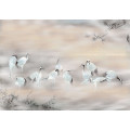Fulfillness - Thumbnail View 1