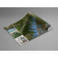 Palmy Beach - Thumbnail View 1