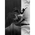 Yin Yang - Thumbnail View 1