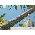 Coconut Heaven II  - Thumbnail View 1