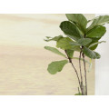 Fernweh - Thumbnail View 1