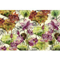 Lotus - Thumbnail View 1