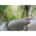 Touch the Jungle  - Thumbnail View 1
