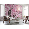 Bloom - Thumbnail View 1