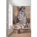 Zebra - Thumbnail View 1