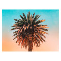 Globetrotter - Thumbnail View 1