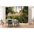 Summer Glade - Thumbnail View 1