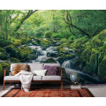 Green Tales - Thumbnail View 1