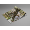 Blütenzauberwald - Thumbnail View 1