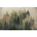 Mystical Firs - Thumbnail View 1