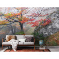 Euphoria - Thumbnail View 1