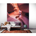 Lost in Color - Thumbnail View 1