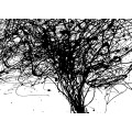 Curls - Thumbnail View 1