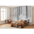 Winter Wood - Thumbnail View 1