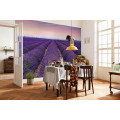 Provence - Thumbnail View 1