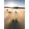 Vivid Dunes - Thumbnail View 1