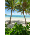 Palmy Beach - Thumbnail View 1