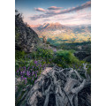 Flowering Tales - Thumbnail View 1