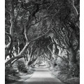 Forevenue - Thumbnail View 1