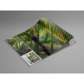 Piratenversteck - Thumbnail View 1