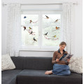 Birds - Thumbnail View 1
