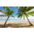 Caribbean Days II - Thumbnail View 1