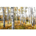 Colorful Aspenwoods - Thumbnail View 1