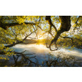 Golden Embrace - Thumbnail View 1