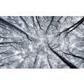 Up - Thumbnail View 1