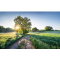A New Day in Paradise - Thumbnail View 1