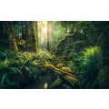Elves Cathedral - Thumbnail View 1