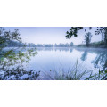 Morning View - Thumbnail View 1