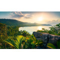 Golden Air - Thumbnail View 1