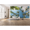 Coconut Heaven II  - Thumbnail View 1